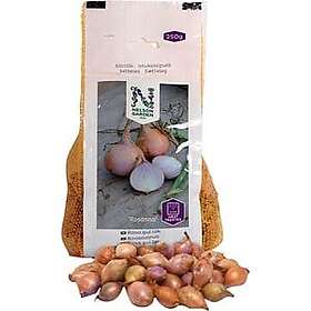 Nelson Garden Sättlök Värmebehandlad Rosanna 250g