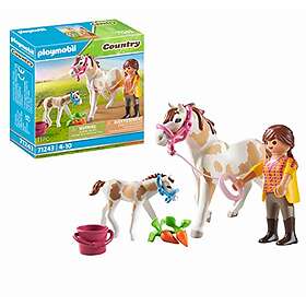 Playmobil Country 71243 Horse with Foal