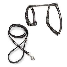 Basic Cat Rebel Sele + Koppel