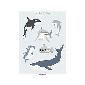 Frank & Poppy Poster In the Ocean 30x40cm