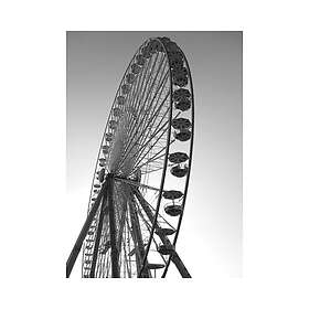 Poster Ferris Wheel 50x70cm