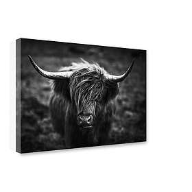 Canvastavla Highland Horns 75x100cm