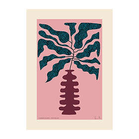 Paper Collective Flower Studies 01 (Prickblad) poster 50x70 cm