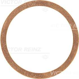 Victor Packning, topplock reinz 41-70580-00