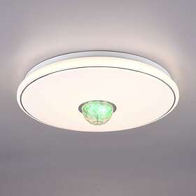 Reality Leuchten LED Rave fjärrkontroll dimbar RGB