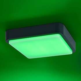 Paul Neuhaus Q-Smart-Home Q-LENNY utomhusvägglampa, antracit