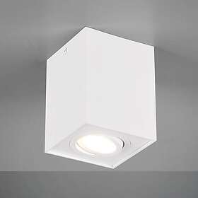 Trio Lighting Biscuit, 1 lampa,