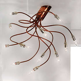 OrionBrazona med tolv armar