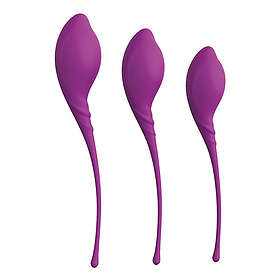 Dream Toys Pleasure Balls & Eggs Kegel Exercise Set