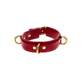 Taboom D-Ring Collar Deluxe