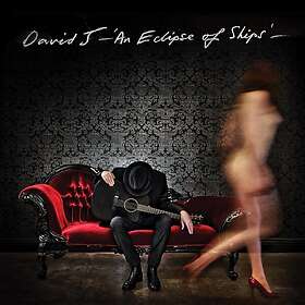 David J An Eclipse Of Ships Limited Edition LP