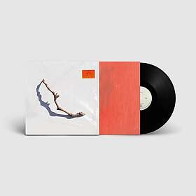 PJ Harvey I Inside The Old Year Dying LP