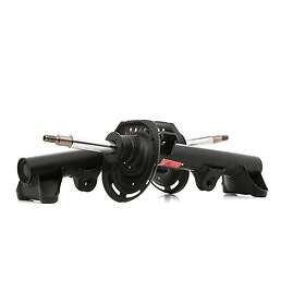 TRW Stötdämpare JGM1126T