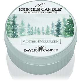 Kringle Candle Winter Evergreen Bougies chauffe-plat 42g