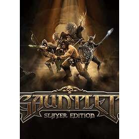 Gauntlet Slayer Edition (PC)