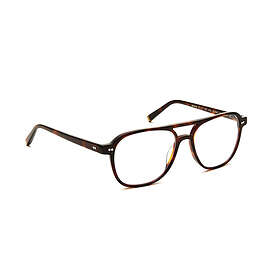 Moscot Bjorn Burnt Tortoise