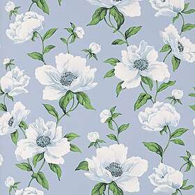 Manuel Canovas Bianca Céleste 03118-02