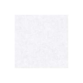 Caselio Beton 2 Uni Gris Clair BTO101489000