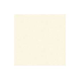 Casadeco Empreinte Blanc Carie EMPR88700012