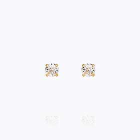 Caroline Svedbom Mini Stud Örhängen/ Crystal (Guld)