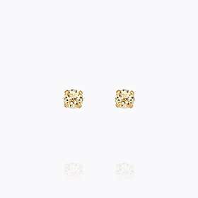 Caroline Svedbom Mini Stud Örhängen/ Jonquil (Guld)