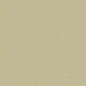 Caselio Chevron Uni Metallise Vert Amande Dore CVR102237022