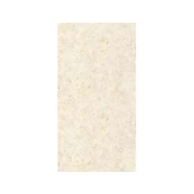 Caselio Patine 2 Uni Metallise/Nacre Beige Dore PAE103681254