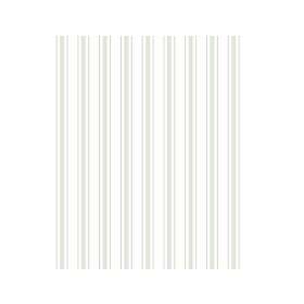 Casadeco Les Rayures Rayure Vert Amande, 0,53x10,05 RAYS81577104