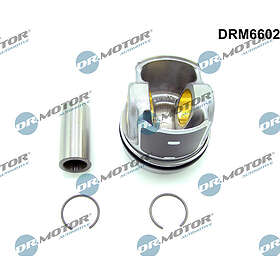 Delmotor Dr.Motor Automotive DRM6602