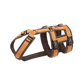 Anny-X Safety Hundsele Brown/Amber