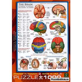 Eurographics Hjärnan 1000 Bitar