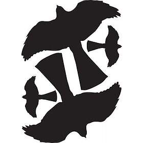 Siluett rovfågel 4st