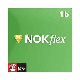 Natur & Kultur Digital NOKflex Matematik 1b (E-bok)