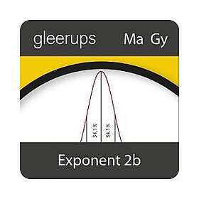 Gleerups Utbildning AB Exponent 2b, digital, elevlic. 6 mån (E-bok)