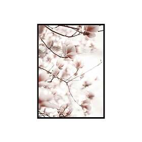 Gallerix Pink Magnolia Branch Foto Lyserød/Vit