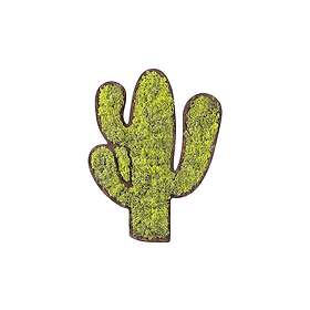 Cactus Canvastavla Vihreä/Vit