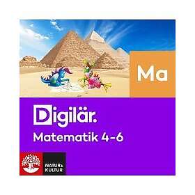 Digilär AB Matematik 4-6 (E-bok)