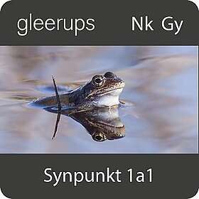Synpunkt 1a1, digital, lärarlic, 12 mån (OBS! Endast för lärare)