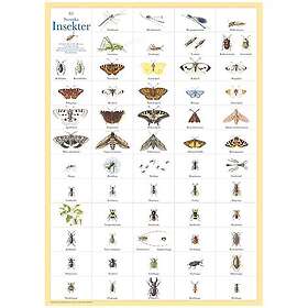 Hjelm Förlag Poster Svenska Insekter