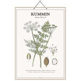 Strömshaga Skolplansch Kummin