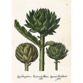 Sköna Ting Sköna Ting Poster Kungsljus