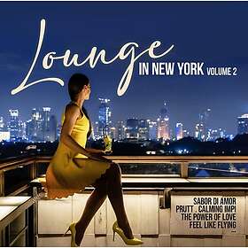 Diverse Electronica Lounge In New York Vol. 2 CD