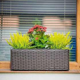 Patio Kruka rektangulär 48 x 18 cm wenge