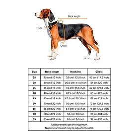 PAIKKA Recovery overall, 65