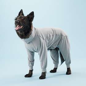 PAIKKA Recovery overall, 25