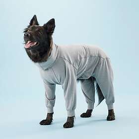 PAIKKA Recovery overall, 55