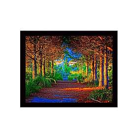 Dekorativ Inramad MDF-målning 41x56 cm Flerfärgad 537MRV2127