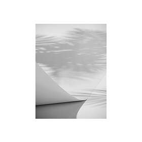 Poster Papyrus 30x40 cm Vit 60037-002