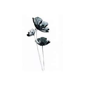 Black Flower Watercolour Painting Vit 50x70 cm V14