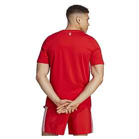 Adidas Fc Bayern Munich 23/24 Dna Short Sleeve T-shirt Röd S